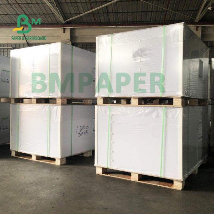 ฟู้ดเกรด Contact With Food Cup Stock Paper For Noodel Bowl 700mm X 1000mm