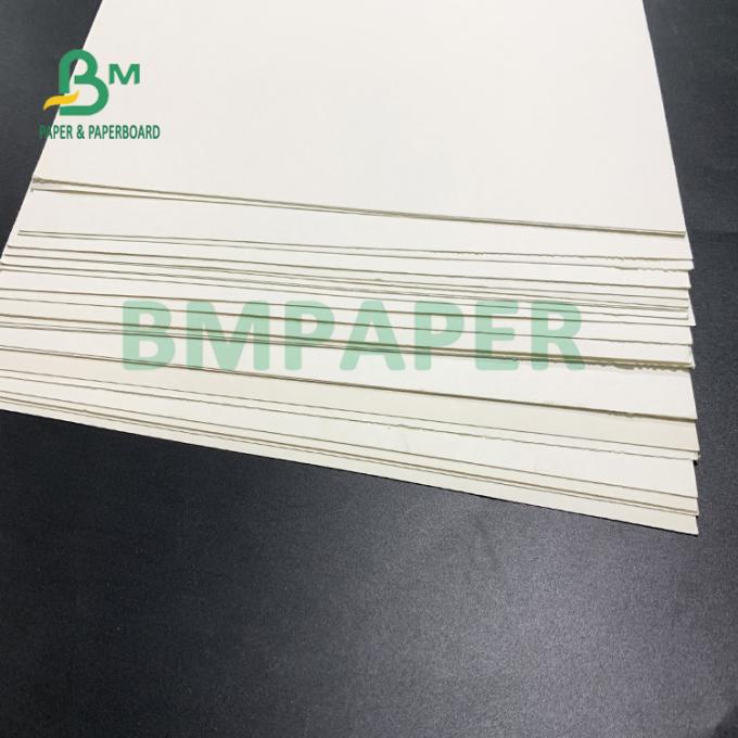 ฟู้ดเกรด Contact With Food Cup Stock Paper For Noodel Bowl 700mm X 1000mm