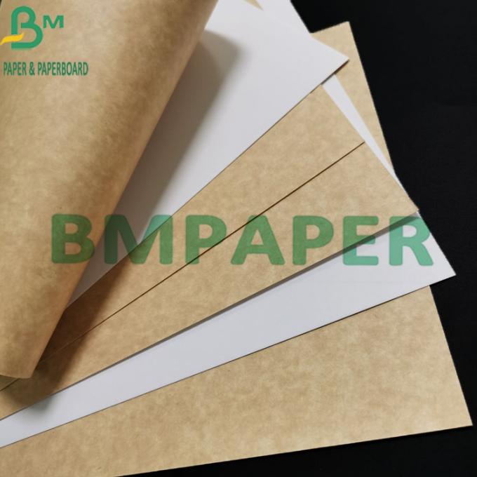 300gsm ฟู้ดเกรด Coated White Kraft Paper With Brown Back For Food Container