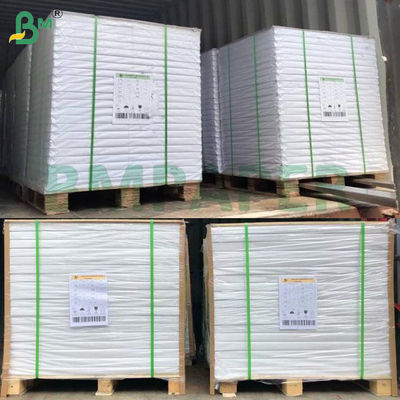 กระดาษวาดภาพสีน้ำ เนื้อหยาบ สีขาวธรรมชาติ ขนาด A3 A4 230 แกรม 300 แกรม