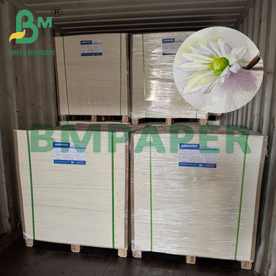 200/230/300gr กระดาษสีน้ําสีขาวธรรมชาติ สําหรับการพิมพ์ศิลปะ