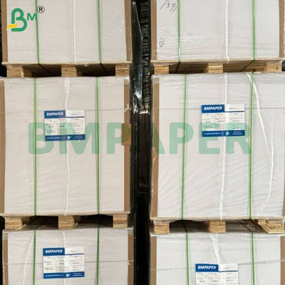 250+15 Gsm ใบกระดาษฐานถ้วย PE ที่เคลือบด้านเดียว กันรั่ว