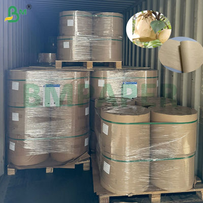 55g 80g Brown Kraft Fruit Bagging Paper UV & Pest Protection For Peaches/Pears