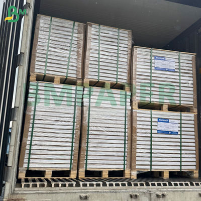 กระดาษพับทนความเย็นสำหรับพิมพ์ได้ 300g 350g 900mm 1000mm สำหรับกล่องอาหารแช่แข็ง