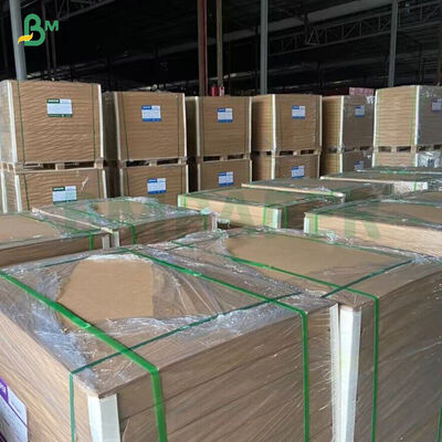 250gm กระดาษครัฟต์ไม้ไม้ PE ที่เคลือบไม่ได้ สําหรับถ้วยกระดาษ