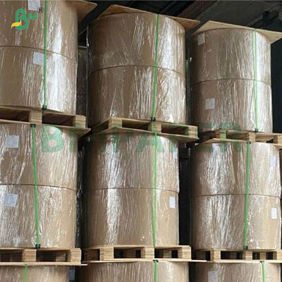 กระดาษติดฉลากเบียร์เคลือบเงาด้านเดียว 65 แกรม 70 แกรม ทนเปียกสูง