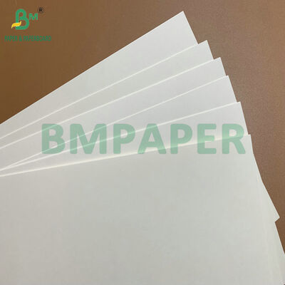 กระดาษติดต่ออาหารกระดาษกระดาษกระดาษกระดาษกระดาษกระดาษกระดาษกระดาษกระดาษกระดาษกระดาษกระดาษกระดาษกระดาษกระดาษกระดาษกระดาษกระดาษกระดาษกระดาษกระดาษกระดาษกระดาษกระดาษกระดาษกระดาษกระดาษกระดาษกระดาษกระดาษกระดาษกระดาษกระดาษกระดาษกระดาษกระดาษกระดาษกระดาษ