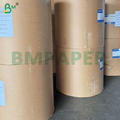 210gsm+18gsm PE Coated Non-leak Noodle Bowl Base Paper Rolls
