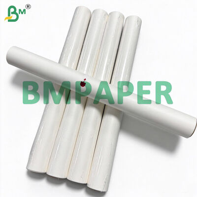 38gsm 40gsm Parchment Baking Paper Rolls 15in X 24ft/30ft/36ft/200ft
