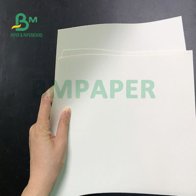 200g + 20g PE Cup Base Paper Folding Resistance กันน้ำ