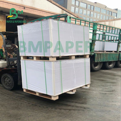 200g + 20g PE Cup Base Paper Folding Resistance กันน้ำ
