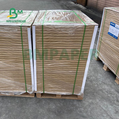 325gsm 350gsm ม้วนกระดาษตู้แช่แข็งสีขาว, สำหรับบรรจุภัณฑ์อาหารแช่แข็ง 37 "X 25" High Bulk