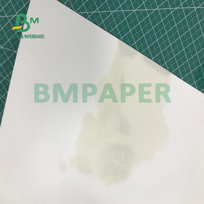 280gsm 300gsm Cup Coaster Board Super Absorb Liquid Performance