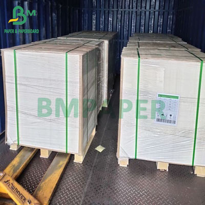 15g PE เคลือบ 1 Side ถ้วยกระดาษสต็อกบอร์ด สำหรับถ้วยเครื่องดื่มร้อนถ้วยเครื่องดื่มเย็น