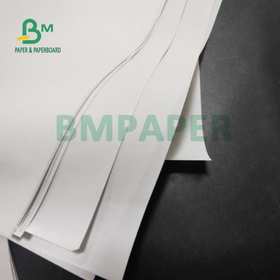 กระดาษความร้อนม้วนจัมโบ้ 55 แกรมสำหรับเครื่องพิมพ์ POS 565 มม. X 6000 ม.