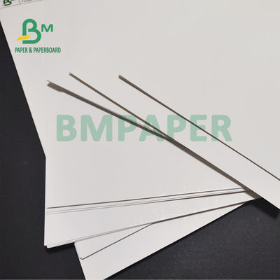 170gsm 190gsm C1S Ivory SBS Paper Board สำหรับเสื้อผ้า Hangtags ความขาวสูง 30 X 40 นิ้ว