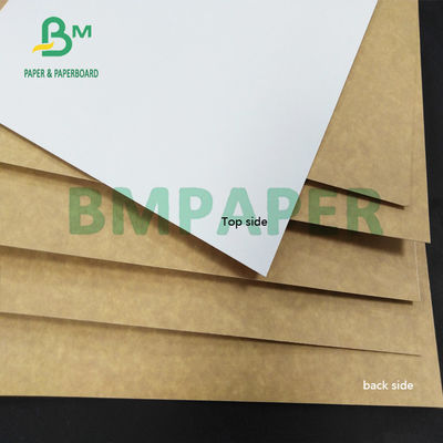 325gsm CCK กระดาษคราฟท์เคลือบดินเหนียวกันความชื้นสำหรับกล่องกระดาษพับ