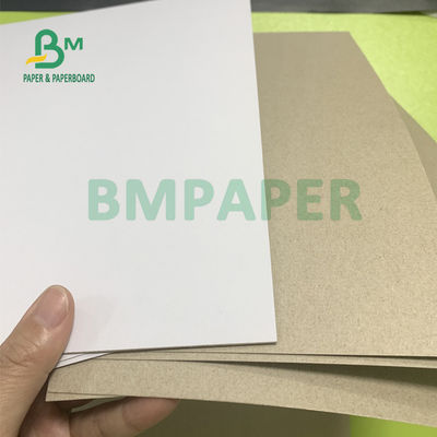 300gsm - 450gsm แผ่นเพล็กซ์เคลือบ C1S ที่มีความต้านทานการพับสูง