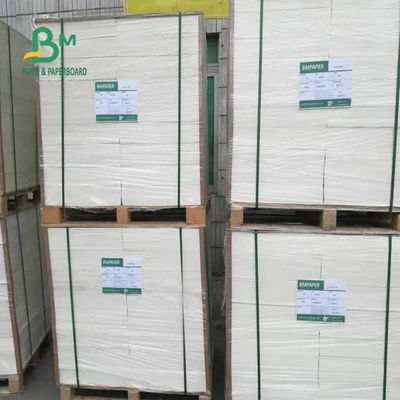ฉนวนกันความร้อน ถ้วยกระดาษสต็อกบอร์ด Waterproof 1200mm 190gsm 210gsm 240gsm