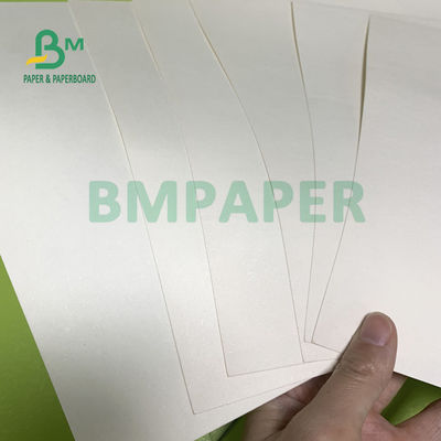 230gsm + 18gsm ถ้วยกระดาษสต็อกบอร์ด ปลอดภัยไม่มีกลิ่นพิเศษสำหรับชามก๋วยเตี๋ยว