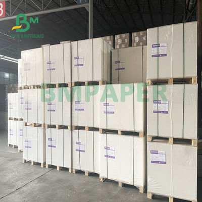 230gsm + 18gsm ถ้วยกระดาษสต็อกบอร์ด ปลอดภัยไม่มีกลิ่นพิเศษสำหรับชามก๋วยเตี๋ยว