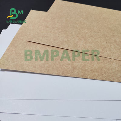 กระดาษหลังคราฟท์เคลือบขาว 325 แกรม สำหรับบรรจุขนมปัง 70 x 100 ซม.
