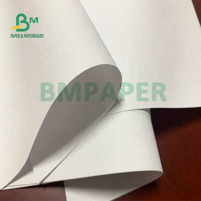 กระดาษไร้กระดาษเคลือบผิว 50gsm 53gsm 55gsm สำหรับหน้า Notepad In Roll