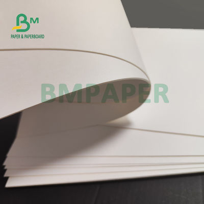 230gsm + 15g PE กระดาษท่ีต้านทานนำ้มันสีขาวสำหรับกล่องอาหารกลางวันอาหารจานด่วน 700 มม.