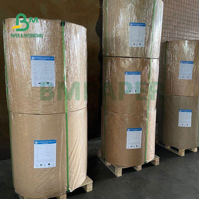 230gsm + 15g PE กระดาษท่ีต้านทานนำ้มันสีขาวสำหรับกล่องอาหารกลางวันอาหารจานด่วน 700 มม.