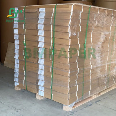 24'' X 500 Ft Blueprint Plotter Paper Roll สำหรับการพิมพ์ CAD 80gsm