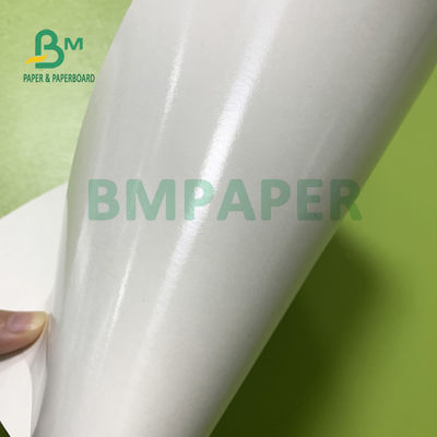 210gsm + 15gsm Cup กระดาษเคลือบฟิล์ม PE ความสว่างดี 615mm X 850mm