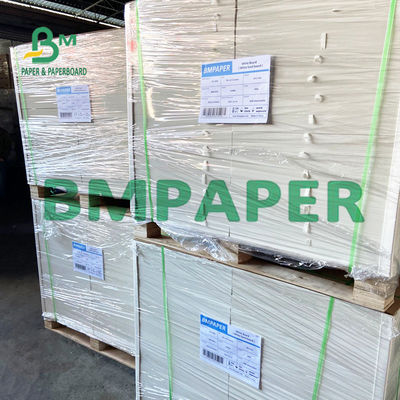 240 250 GSM Polycoated Cupstock Paper Board for Dry Food Tray