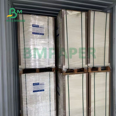 ความทนทาน 230gsm + 15gsm ถ้วยกระดาษเคลือบ PE สำหรับชามซุป 560 มม. X 700 มม