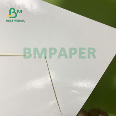 ความทนทาน 230gsm + 15gsm ถ้วยกระดาษเคลือบ PE สำหรับชามซุป 560 มม. X 700 มม