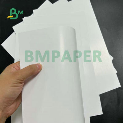 280mic 300mic 320mic เคลือบเงา C2S SBS Paperboard 70 X 100cm สำหรับนิตยสาร