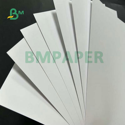 280mic 300mic 320mic เคลือบเงา C2S SBS Paperboard 70 X 100cm สำหรับนิตยสาร