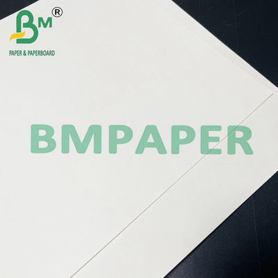 190gsm 200gsm 210gsm กระดาษ Cupstock ปลอดภัยสำหรับอาหารสำหรับอาหารร้อน