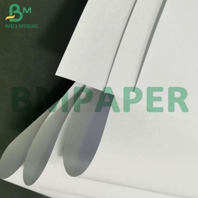 Good Writing Surface 60g 70g High Bulky Book Paper Ivory Color Woodfree Paper