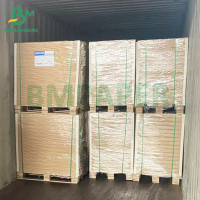 กระดาษศิลปะสีขาว 300 กรัม ที่สามารถรีไซเคิลได้