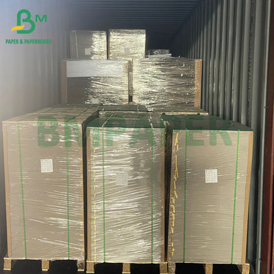WFW 100g + 100g + 100g แผ่นกระดาษกรวยสีดํา