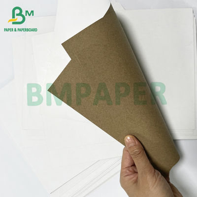 กระดาษท่อ 220 240 GSM ผงย้อนหลัง กระดาษกระดาษกระดาษกระดาษกระดาษกระดาษกระดาษกระดาษกระดาษ