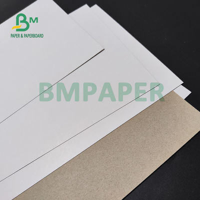 กระดาษพับเพลสเคลือบดิน 350 กรัม สําหรับกล่องเค้ก ความแข็งแรง 70 x 100 ซม