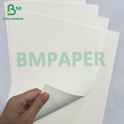 100 กรัม 200 กรัม สามารถนําไปใช้ใหม่ได้ อาหารเกรด Bagasse ผงกระดาษขาวม้วน