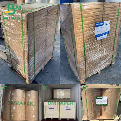กระดาษบล็อตเตอร์ กระดาษบล็อตเตอร์สีขาว 0.4mm 0.5mm 0.6mm 430 X 610mm 500 แผ่น แพ็ค