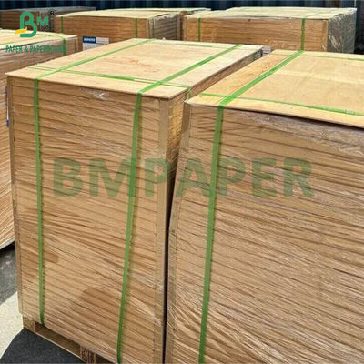 กระดาษศิลปะสีขาว 120 กรัม C1S ผิวเคลือบด้านเดียว เนียน 500 แผ่น