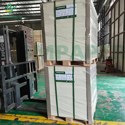สีขาวธรรมชาติ ไม่เคลือบสูง ขนาดใหญ่ Absorption Beer Mat Board 700