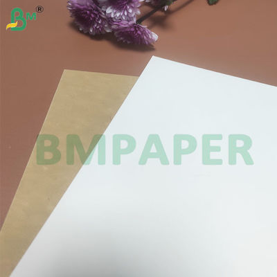 135-350 GSM กระดาษบรรจุอาหารความแข็งแรงสูง รอยกระดาษสําหรับกระปุกกระดาษ