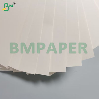 180 กรัม + 15 กรัม PE Cup Stock Paper Signle Side Coated Board กันน้ําทนต่อการพับสูง