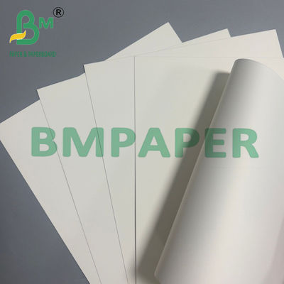 0.4 มิลลิเมตร เบาะเบียร์ กระดาษซึม ไม่เคลือบ กระดาษกระดาษธรรมชาติสีขาว