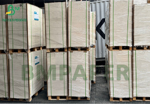300g 350g 900mm 1000mm ผิวเคลือบกระดาษ SBS เกรดอาหาร สําหรับกล่องบรรจุอาหาร